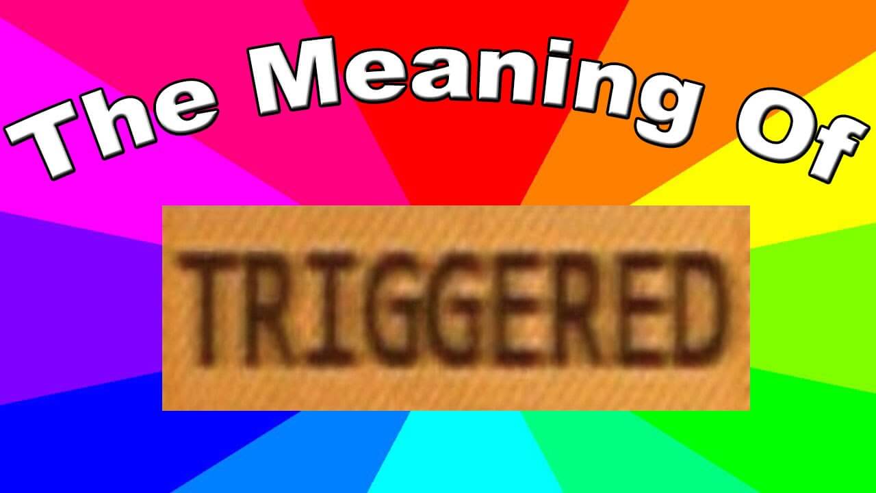 Triggered là gì? Ý nghĩa của Triggered và Meme là gì?