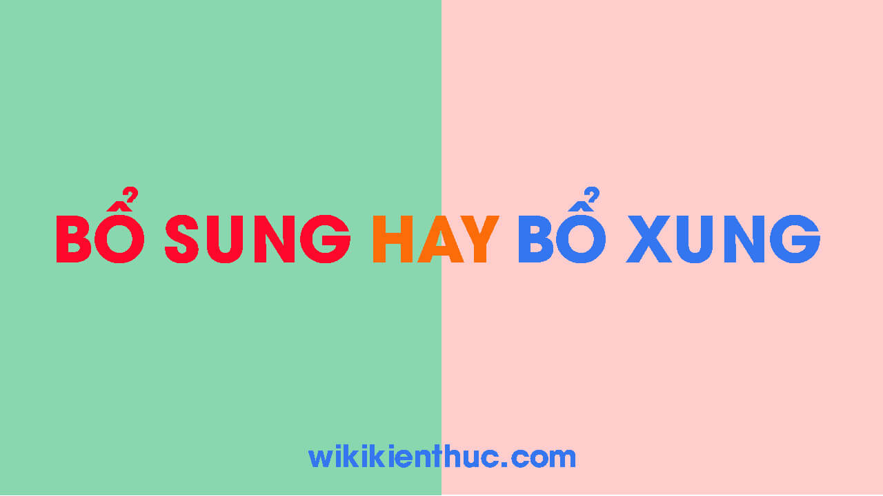 Bổ sung hay bổ xung? Từ nào mới viết đúng chính tả Tiếng Việt?