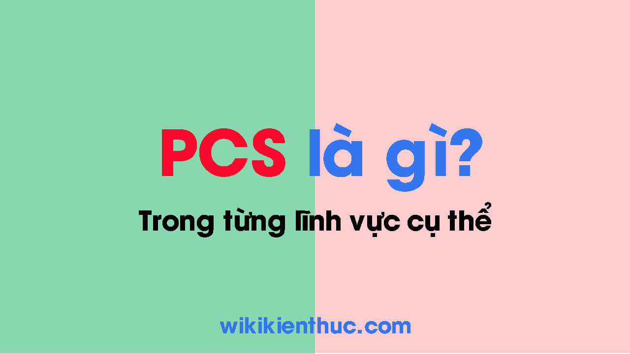 PCS là gì? Ý nghĩa của PCS trong từng lĩnh vực cụ thể như xuất khẩu