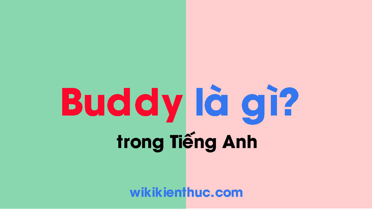 Buddy là gì? Các từ đồng nghĩa – gần nghĩa với Buddy