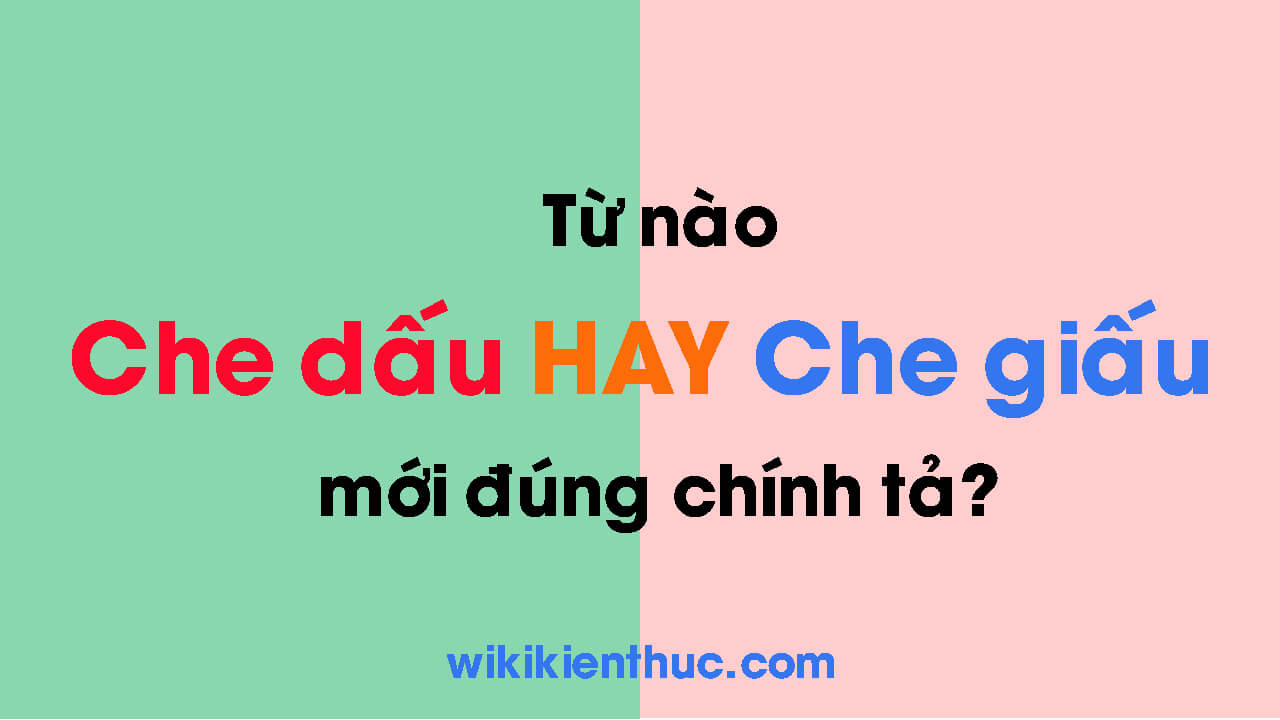 Che dấu hay che giấu mới đúng chính tả và ngữ pháp Tiếng Việt