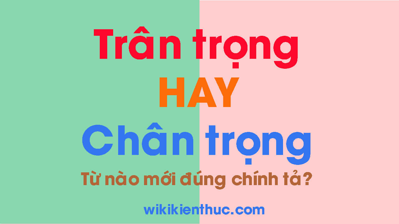 CHÂN TRỌNG hay TRÂN TRỌNG? Từ nào mới đúng chính tả