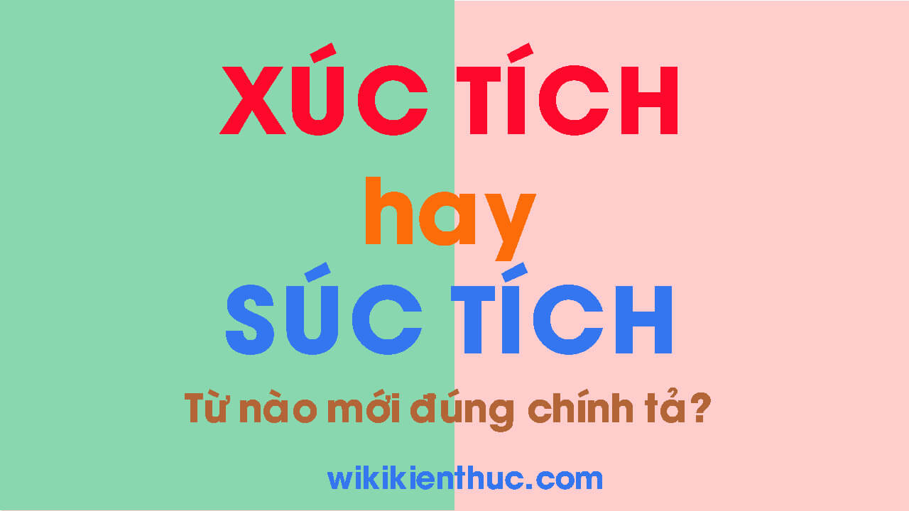 XÚC TÍCH hay SÚC TÍCH? Từ nào mới đúng chính tả Tiếng Việt