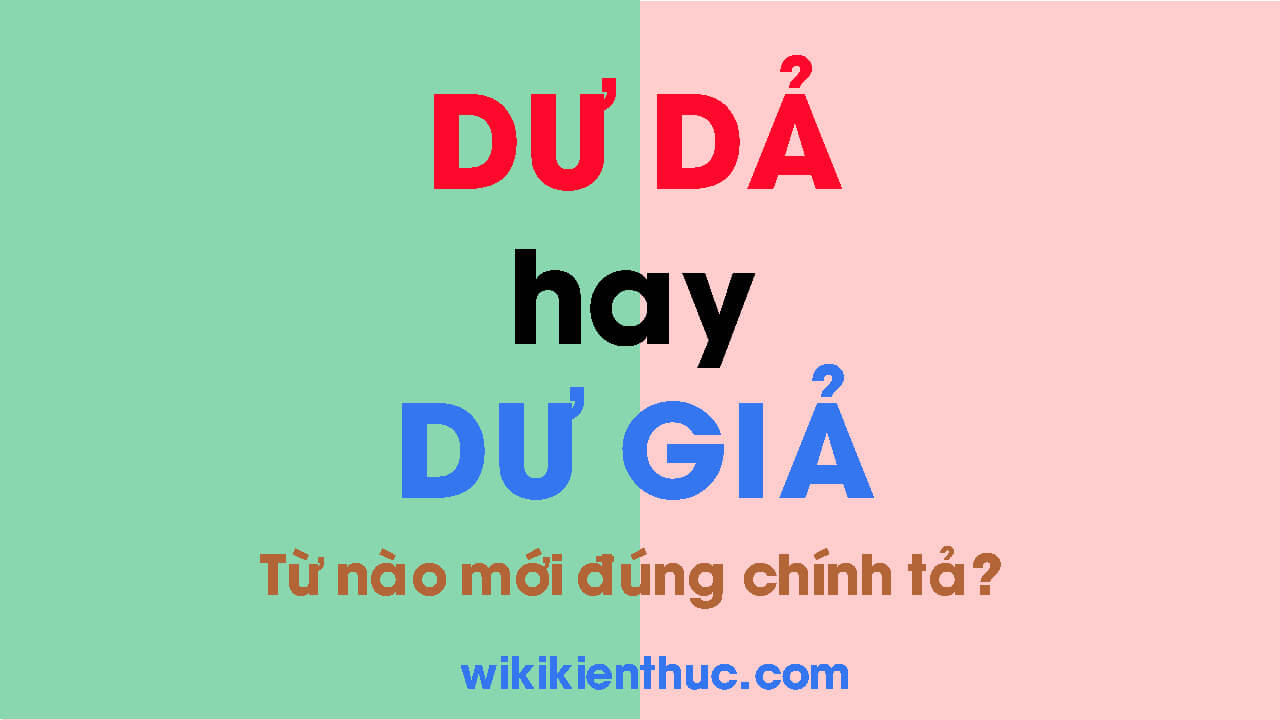 DƯ GIẢ hay DƯ DẢ? Từ nào mới đúng chính tả tiếng Việt