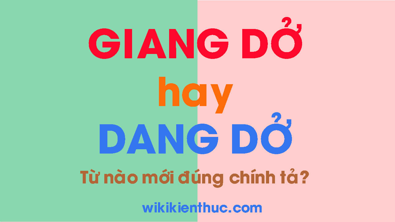 GIANG DỞ hay DANG DỞ? Từ nào mới đúng chính tả tiếng Việt?