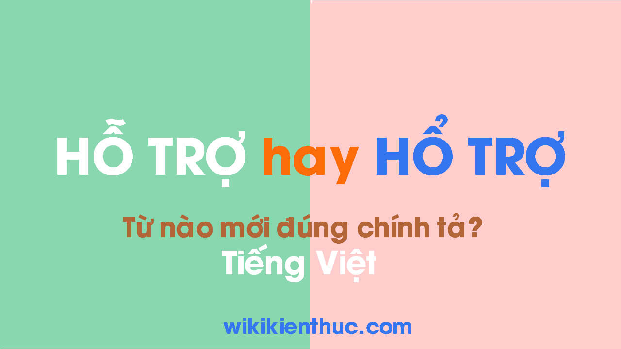 HỖ TRỢ hay HỔ TRỢ? Từ nào mới là từ đúng chính tả Tiếng Việt?